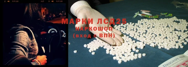 прущие грибы Арсеньев