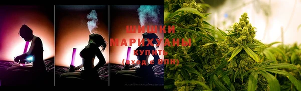 прущие грибы Арсеньев