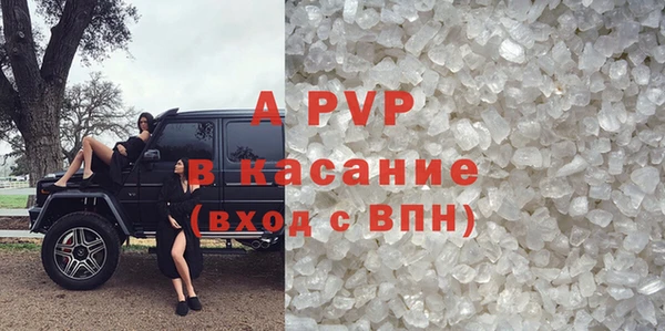 прущие грибы Арсеньев