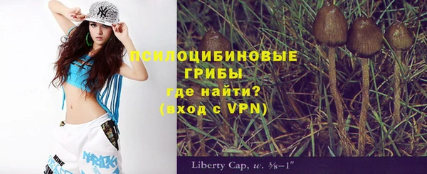 прущие грибы Арсеньев
