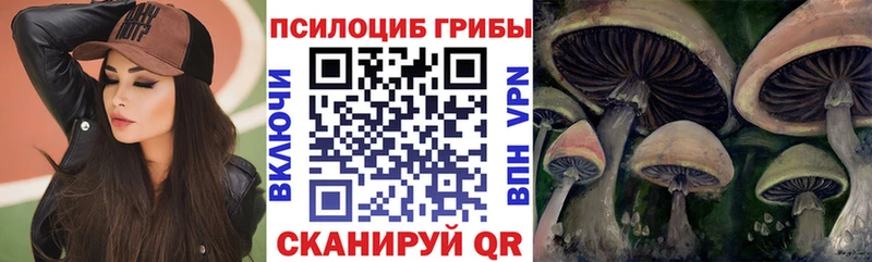 Псилоцибиновые грибы Psilocybine cubensis  Купить  Вольск 